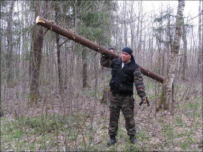 Над рубит. Палка в лесу. Мужик в лесу с палками. Мужчина с палкой в лесу. Палка лесничего.